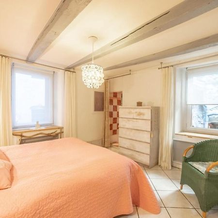 Apartment Classified 3 Stars Located In The Heart Of The Old Town Аннесі Екстер'єр фото